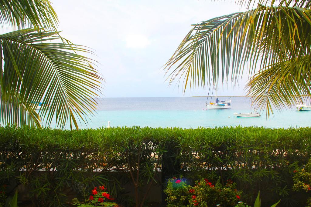 Bonaire Seaside Apartments Exterior foto