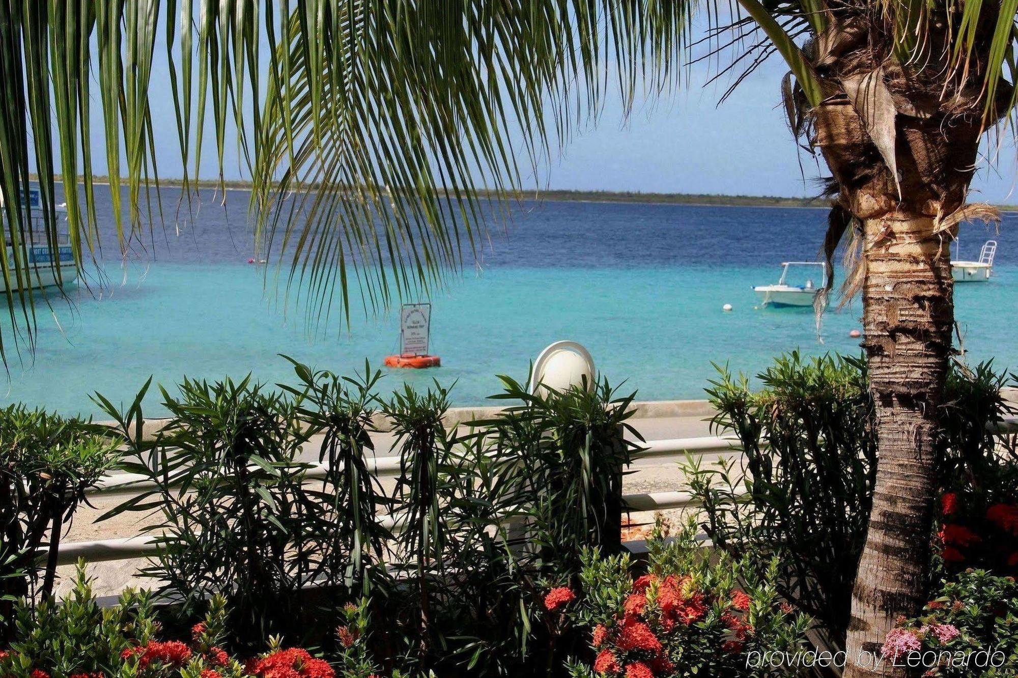 Bonaire Seaside Apartments Einrichtungen foto